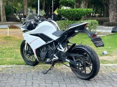 Kayo 250RR Thornbird - ფოტო 9