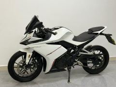 Kayo 250RR Thornbird - ფოტო 1
