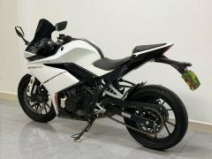 Kayo 250RR Thornbird - ფოტო 3