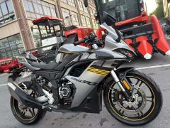 Voge 250RR - фото 4