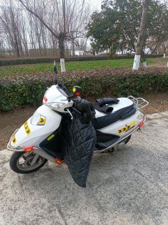 Wuyang Honda SCR 100 - ფოტო 5