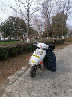 Wuyang Honda SCR 100 - ფოტო 6