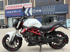 Benelli TNT 300 / BN 302S - ფოტო 3