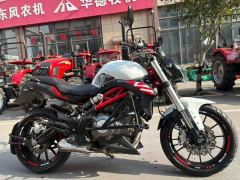 Benelli TNT 300 / BN 302S - photo 1