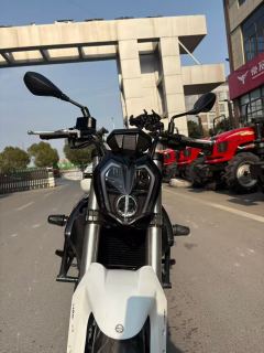 Benelli TNT 300 / BN 302S - photo 2