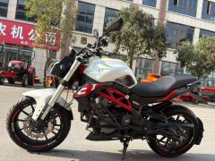 Benelli TNT 300 / BN 302S - photo 3
