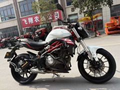 Benelli TNT 300 / BN 302S - ფოტო 1