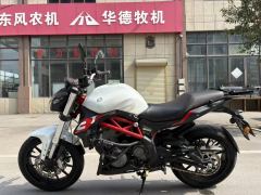 Benelli TNT 300 / BN 302S - ფოტო 3
