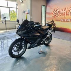 Feiying R25 250 cc - ფოტო 3