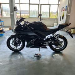 Feiying R25 250 cc - ფოტო 6