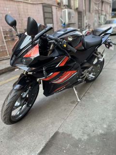 Feiying R25 250 cc - ფოტო 3
