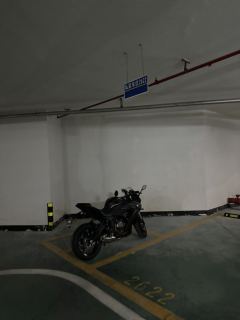 QJMOTOR SRK 250 - ფოტო 6