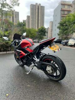 Kayo 321RR 320 cc - ფოტო 8