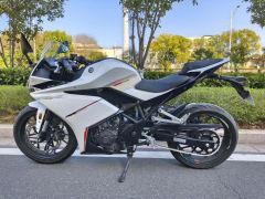 Kayo 250RR Thornbird - ფოტო 1