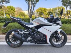 Kayo 250RR Thornbird - ფოტო 2