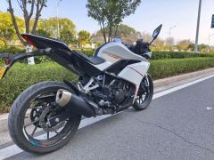 Kayo 250RR Thornbird - ფოტო 4