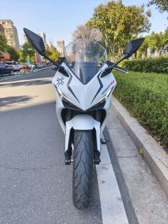 Kayo 250RR Thornbird - ფოტო 7