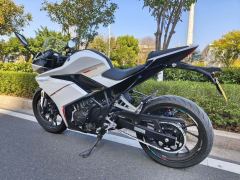 Kayo 250RR Thornbird - ფოტო 9