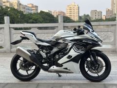 Kawasaki ZX-4R 400 cc - ფოტო 2