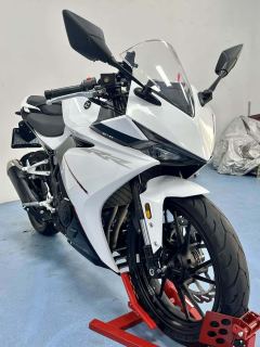 Kayo 250RR Thornbird - ფოტო 1