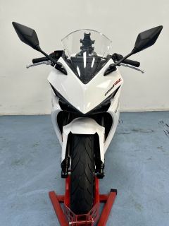 Kayo 250RR Thornbird - ფოტო 2