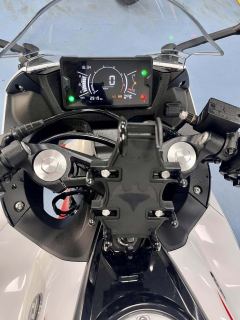 Kayo 250RR Thornbird - ფოტო 3