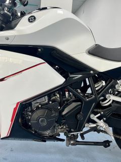 Kayo 250RR Thornbird - ფოტო 4