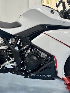 Kayo 250RR Thornbird - ფოტო 5