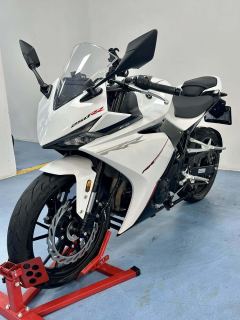 Kayo 250RR Thornbird - ფოტო 8