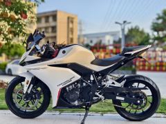 Kayo 250RR Thornbird - ფოტო 3