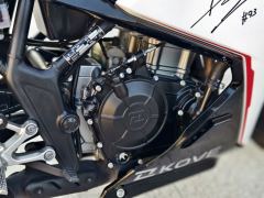 Kayo 250RR Thornbird - ფოტო 6