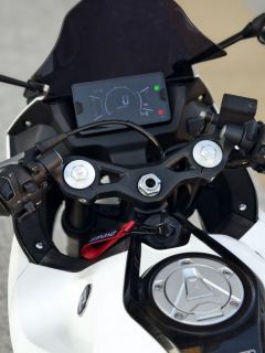 Kayo 250RR Thornbird - ფოტო 7