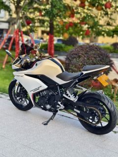Kayo 250RR Thornbird - ფოტო 8