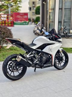 Kayo 250RR Thornbird - ფოტო 9