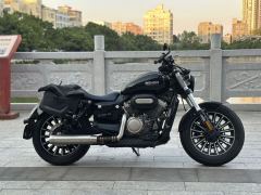 Benda Polestones 03 Gray 300 cc - photo 2