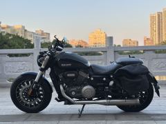 Benda Polestones 03 Gray 300 cc - photo 5