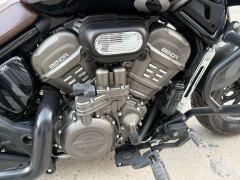 Benda Limestone 707 700 cc - photo 7