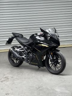 Kayo 250RR Thornbird - ფოტო 1