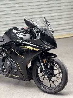 Kayo 250RR Thornbird - ფოტო 2