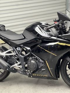 Kayo 250RR Thornbird - ფოტო 3