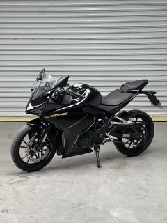 Kayo 250RR Thornbird - ფოტო 6