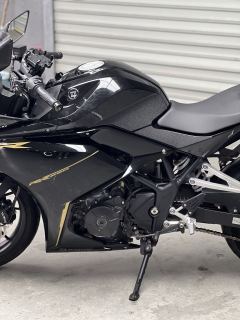 Kayo 250RR Thornbird - ფოტო 8