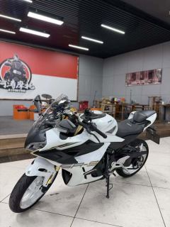 CFMOTO 450SR - ფოტო 2