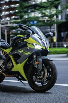 Lingli Beast 400 - фото 3