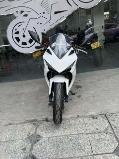 Kayo 250RR Thornbird - ფოტო 2
