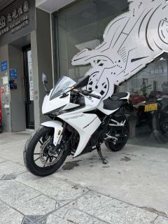 Kayo 250RR Thornbird - ფოტო 3