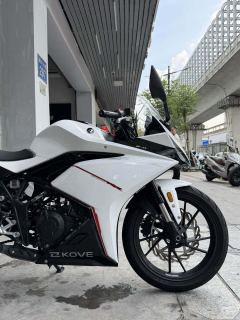 Kayo 250RR Thornbird - ფოტო 4