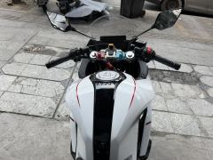 Kayo 250RR Thornbird - ფოტო 5