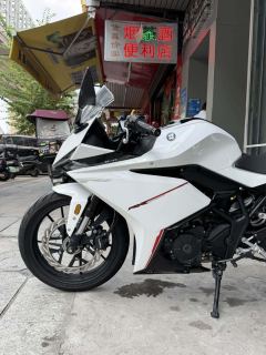 Kayo 250RR Thornbird - ფოტო 6