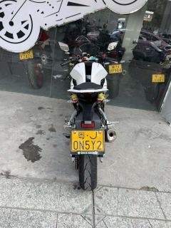 Kayo 250RR Thornbird - ფოტო 8